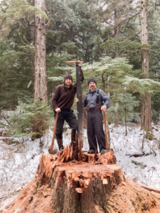 Acting as Lumberjacks