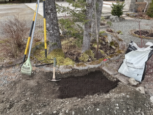 Sitka Spruce Phase 2 